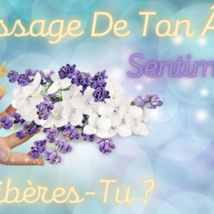 EXTENSION DE VIDEO - GUIDANCE ET SOIN ENERGETIQUE - Message de ton Âme
