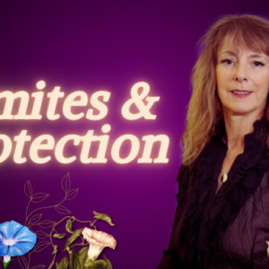EXTENSION DE VIDEO - GUIDANCE-SOIN-PROTOCOLE - Limites & Protection