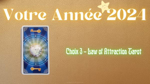EXTENSION DE VIDEO - 2024 - CHOIX 3 - Law of Attraction