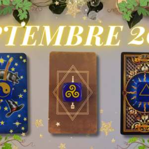 EXTENSION DE VIDEO -SEPTEMBRE 2024 - CHOIX 1 - Yin/Yang